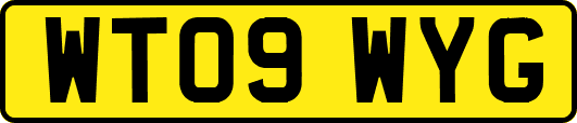 WT09WYG