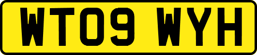 WT09WYH