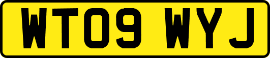 WT09WYJ