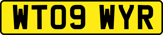 WT09WYR