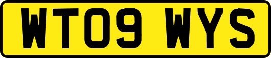 WT09WYS