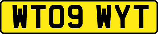 WT09WYT
