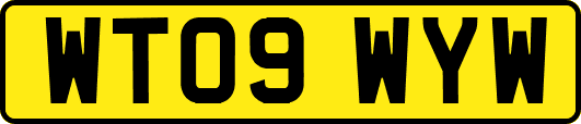 WT09WYW
