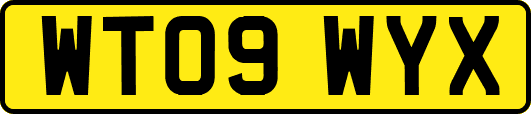 WT09WYX