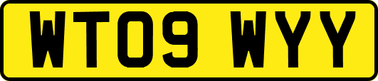 WT09WYY