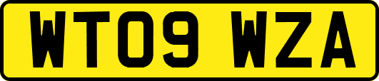 WT09WZA