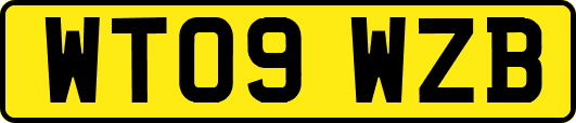 WT09WZB
