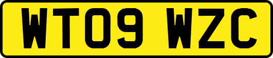 WT09WZC