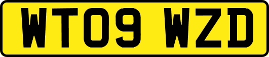 WT09WZD