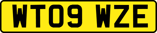 WT09WZE