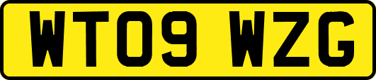 WT09WZG