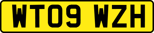 WT09WZH