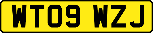 WT09WZJ