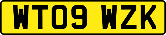 WT09WZK
