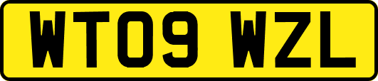 WT09WZL