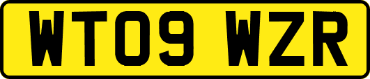 WT09WZR