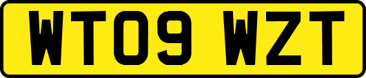 WT09WZT