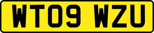 WT09WZU