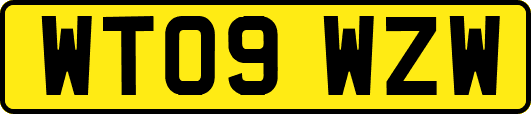 WT09WZW