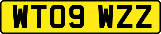 WT09WZZ