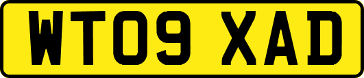 WT09XAD