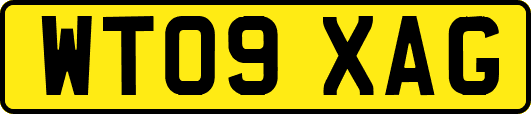 WT09XAG