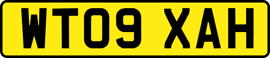 WT09XAH