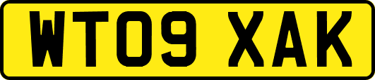 WT09XAK