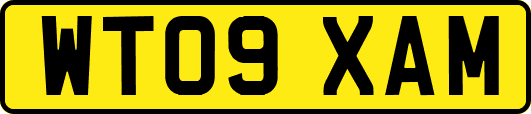 WT09XAM
