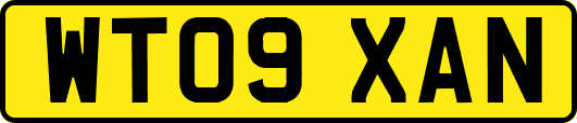 WT09XAN