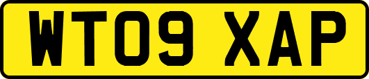 WT09XAP