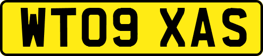 WT09XAS