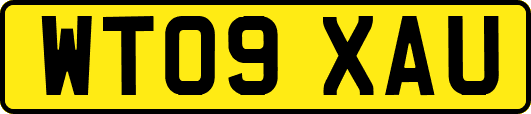 WT09XAU
