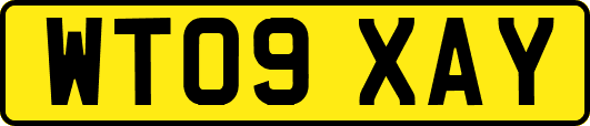 WT09XAY