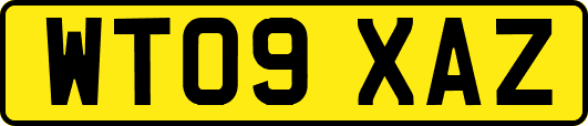 WT09XAZ