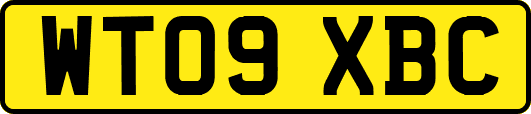 WT09XBC