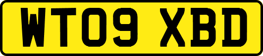 WT09XBD