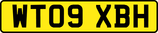 WT09XBH
