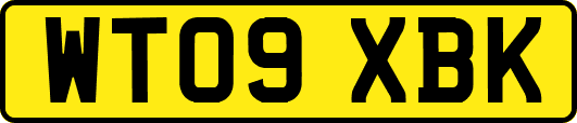 WT09XBK