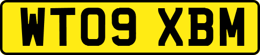 WT09XBM