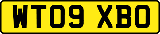 WT09XBO
