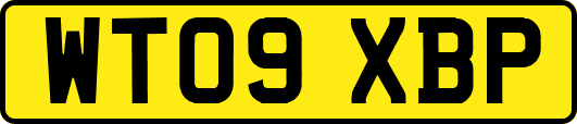 WT09XBP