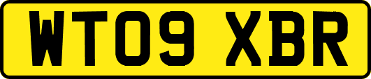 WT09XBR