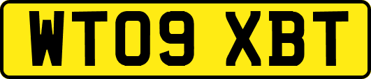 WT09XBT