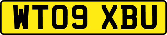 WT09XBU
