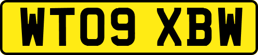 WT09XBW