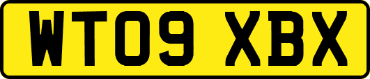 WT09XBX