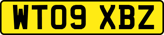 WT09XBZ