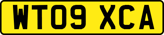 WT09XCA