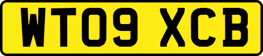 WT09XCB